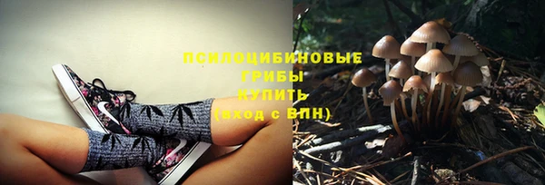 ешки Рославль