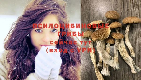 амфетамин Россошь