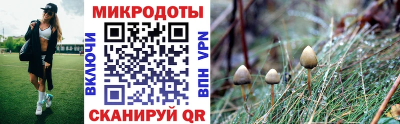 площадка как зайти  закладка  Верхний Уфалей  Галлюциногенные грибы Psilocybe 