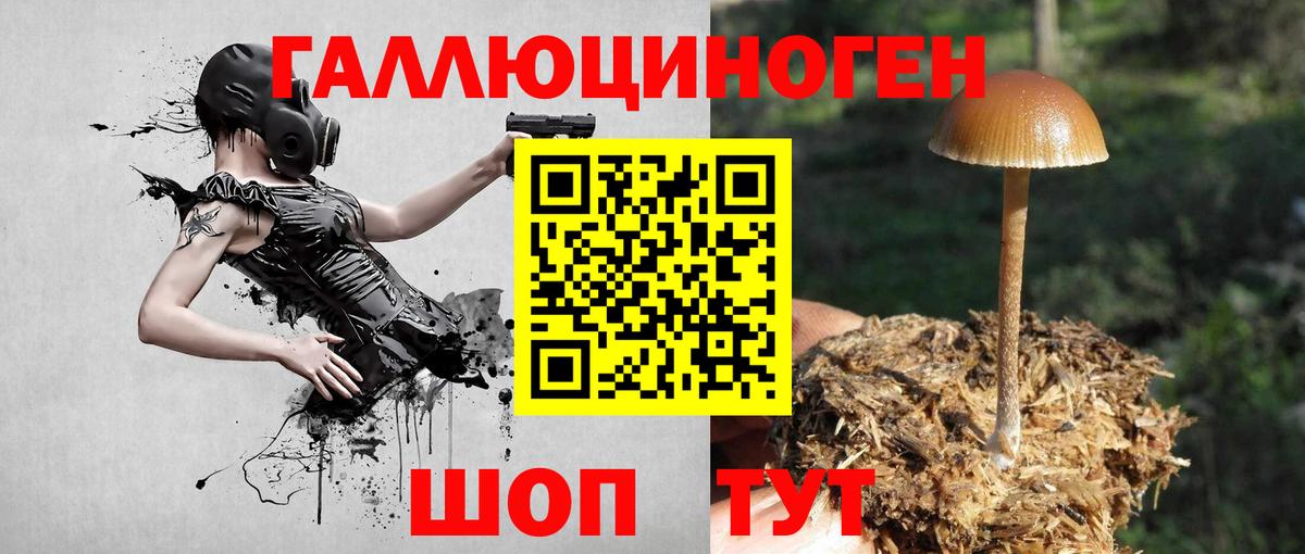 Псилоцибиновые грибы GOLDEN TEACHER Верхний Уфалей